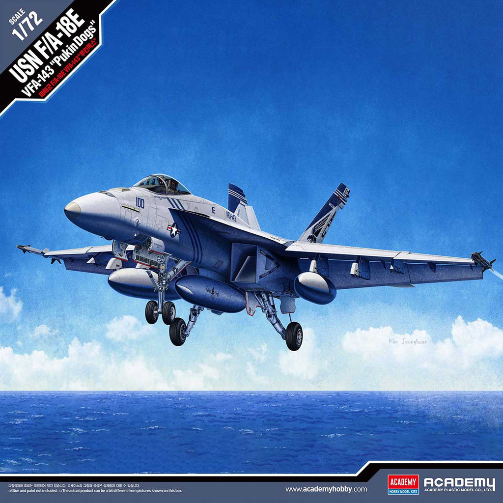Academy 1/72 F/A-18E VFA-143 "Pukin Dogs" – 12547 - Battle Born Hobby