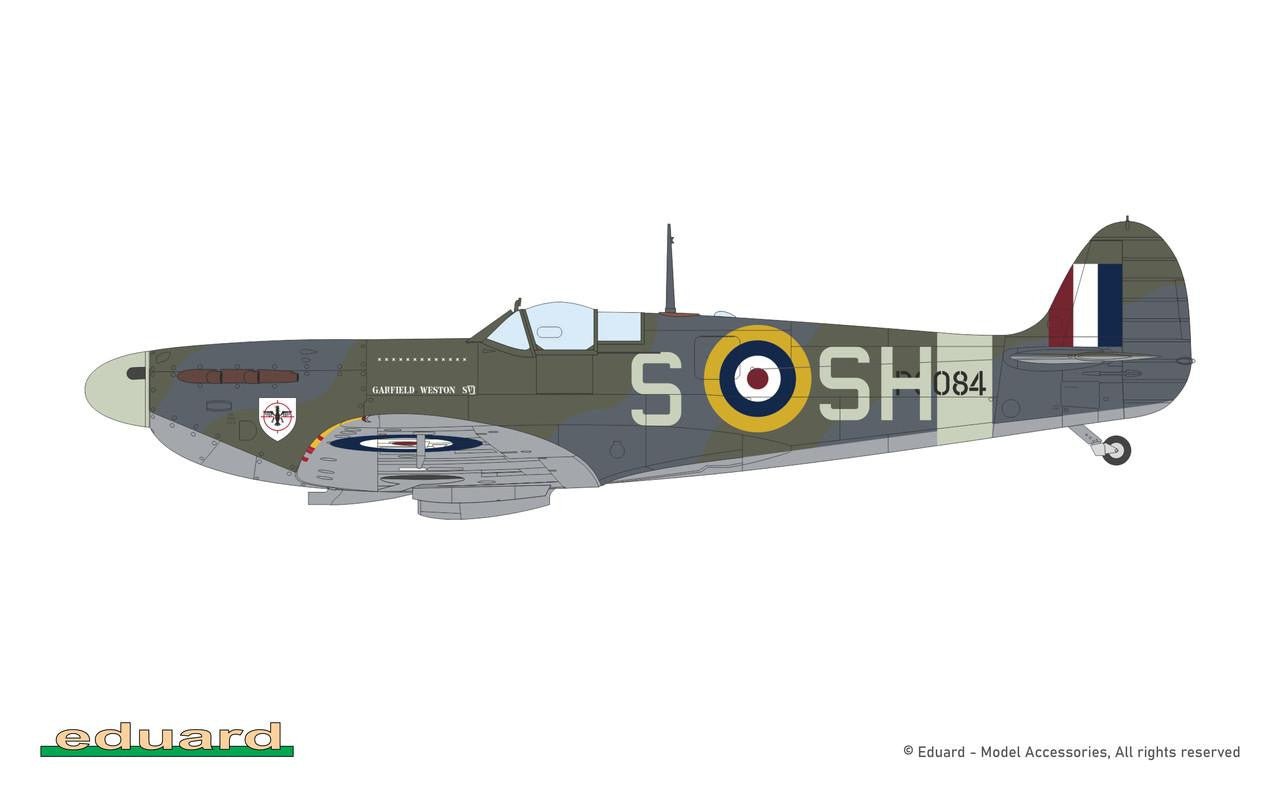 Eduard 1/48 Spitfire Mk.IIa Plastic Model Kit - Battle Born Hobby